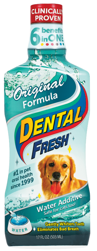 Dental Fresh