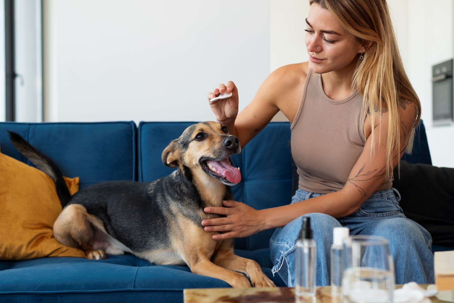 Woman caring for her dog with pet care products